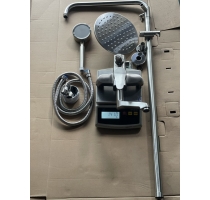 Sen Cây Tròn  Nóng Lạnh 304