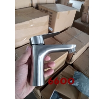 Vòi Lavabo Nóng Lạnh Inox Mờ 6600