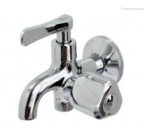 Củ Sen Đồng Mạ 